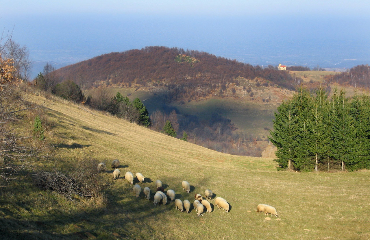 A view from the Magles mountain